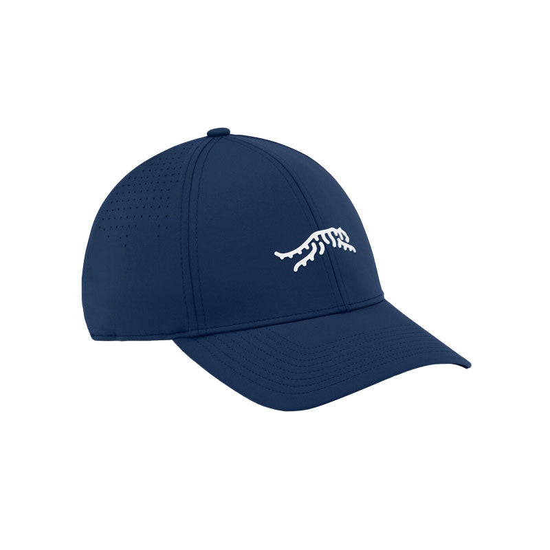 SUN DAY RED Cypress Tour Snapback Men's Cap (Blue)