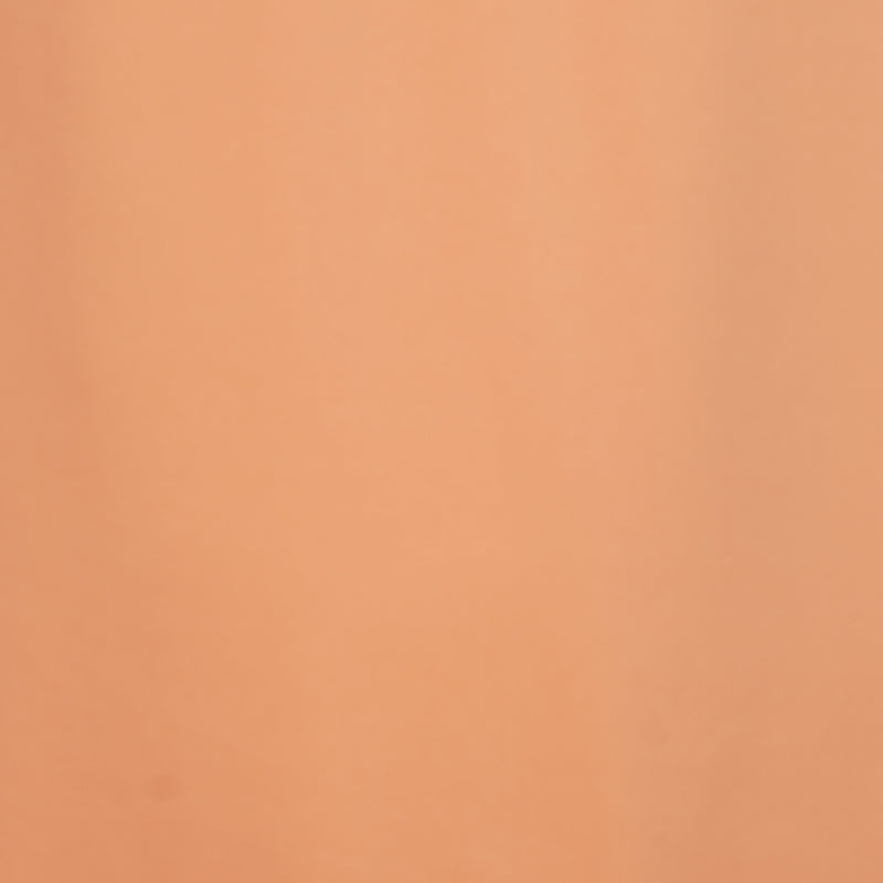 PETER MILLAR Solid Performance Jersey Men's Polo (Orange Nectar)