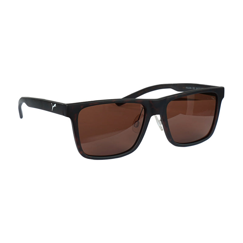 PUMA PE0109S Havana/Brown Sunglasses