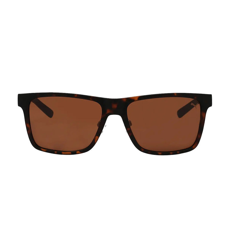 PUMA PE0109S Havana/Brown Sunglasses